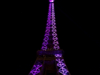 Paris 12-26-09 image 39